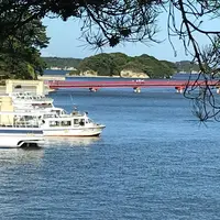 松島の写真・動画_image_680743