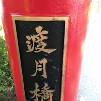 松島の写真・動画_image_680745