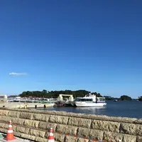 松島の写真・動画_image_680746