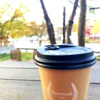 Hammock Cafe（ハンモックカフェ）の写真・動画_image_681179
