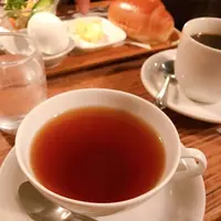 さぼうるの写真・動画_image_681283