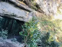 上色見熊野座神社の写真・動画_image_682240