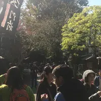 深大寺の写真・動画_image_682407
