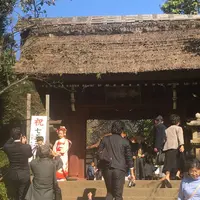 深大寺の写真・動画_image_682410