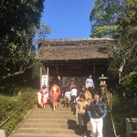 深大寺の写真・動画_image_682413