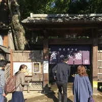 深大寺の写真・動画_image_682414