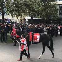 ムーニーヴァレー競馬場の写真・動画_image_683366