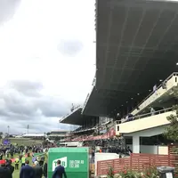 ムーニーヴァレー競馬場の写真・動画_image_683367
