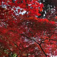大国寺の写真・動画_image_683443