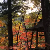 高蔵寺の写真・動画_image_683444