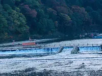 渡月橋の写真・動画_image_683581