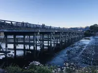 渡月橋の写真・動画_image_683583
