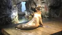 海遊館の写真・動画_image_683592