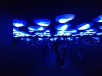 海遊館の写真・動画_image_683594