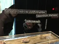 海遊館の写真・動画_image_683597