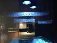 海遊館の写真・動画_image_683598
