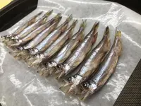 カネダイ大野商店の写真・動画_image_684727