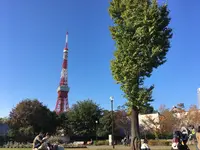 芝公園の写真・動画_image_684845