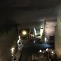 大谷石採石場跡・大谷資料館の写真・動画_image_685637