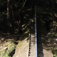 保津川下りの写真・動画_image_685844