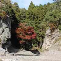 保津川下りの写真・動画_image_685845