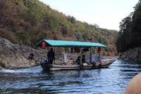 保津川下りの写真・動画_image_685846