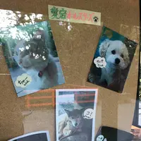 愛宕神社の写真・動画_image_687578