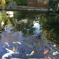 愛宕神社の写真・動画_image_687580