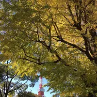 芝公園の写真・動画_image_687589