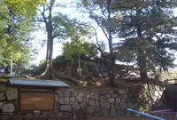 淀城の写真・動画_image_688133