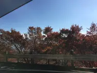 比叡山ドライブウェイの写真・動画_image_688520