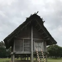 平塚川添遺跡の写真・動画_image_688663