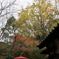 秋月城跡の写真・動画_image_688672