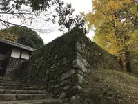 秋月城跡の写真・動画_image_688673
