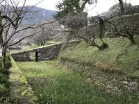 秋月城跡の写真・動画_image_688674