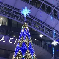 博多駅の写真・動画_image_688686