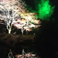 円通院の写真・動画_image_688734
