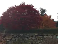 出石城下町の写真・動画_image_688969