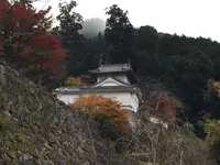 出石城下町の写真・動画_image_688970