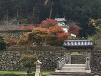 出石城下町の写真・動画_image_688971