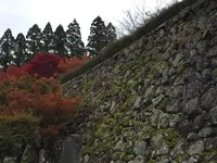 出石城下町の写真・動画_image_688972