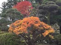 出石城下町の写真・動画_image_688975