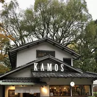 カモス ヒビヤ （KAMOS HIBIYA）の写真・動画_image_689413