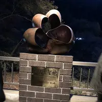 袋田の滝の写真・動画_image_691573