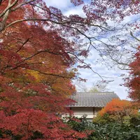 京都の写真・動画_image_691900