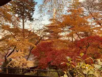 金剛寺（高幡不動尊）の写真・動画_image_693696