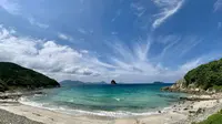 ハマンナの写真・動画_image_694057