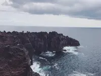 城ヶ崎海岸の写真・動画_image_694210