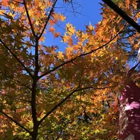 唐沢山城跡の写真・動画_image_694825