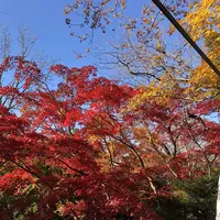 唐沢山城跡の写真・動画_image_694827